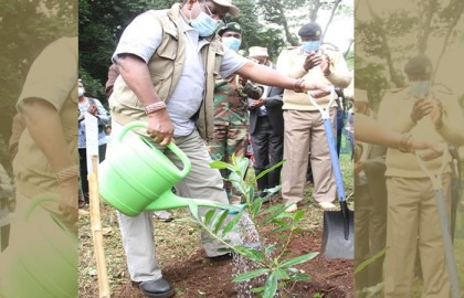 Put communities at heart of forest management