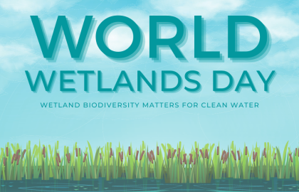 Statement by  Elizabeth Maruma Mrema  Executive Secretary of the Convention on Biological Diversity on the occasion of   World Wetlands Day 