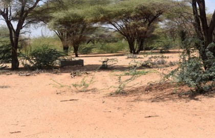 Climate Change Adaptation Needed now