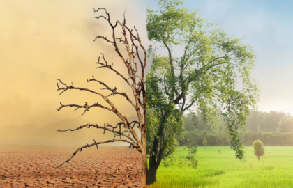 Climate Smart Solutions