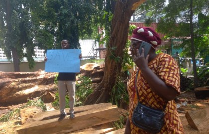 Kenyans Occupy Mombasa’s Uhuru Gardens to Halt Illegal Tree Cutting